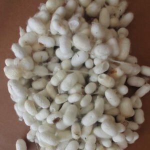 Harman (Karışık) Koza