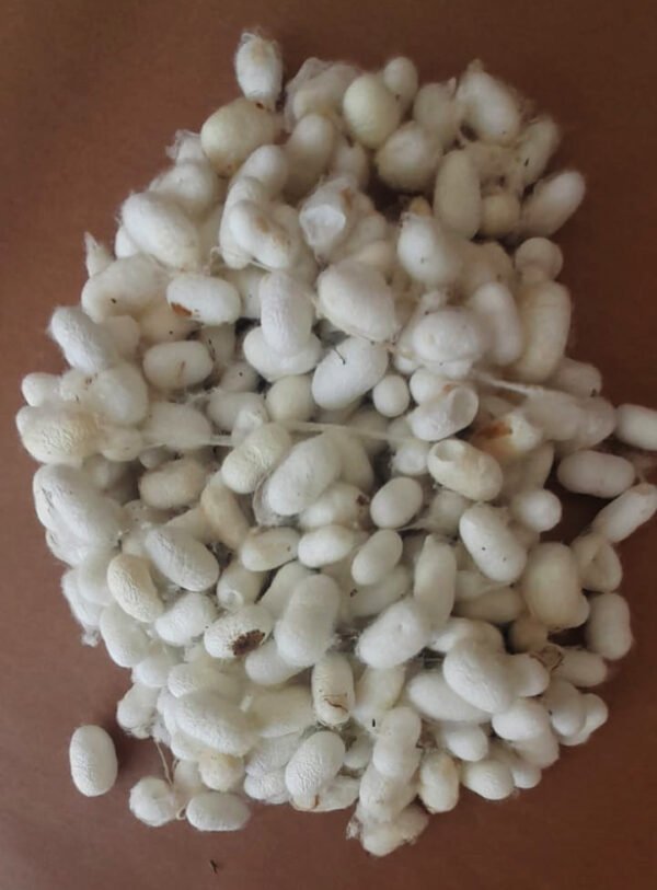 Harman (Karışık) Koza